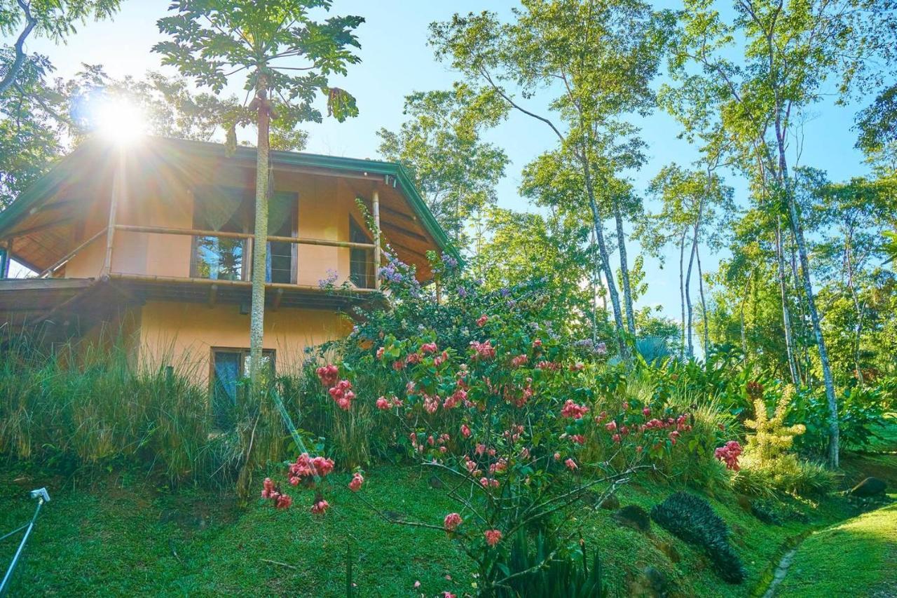 Manoas Bed & Breakfast Uvita Bagian luar foto