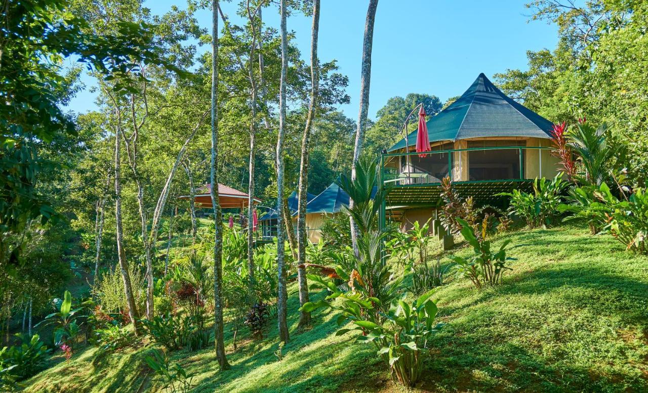Manoas Bed & Breakfast Uvita Bagian luar foto