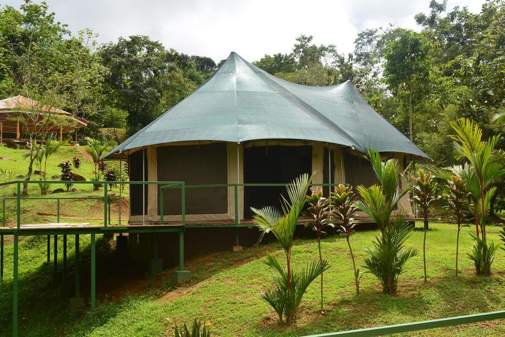 Manoas Bed & Breakfast Uvita Bagian luar foto