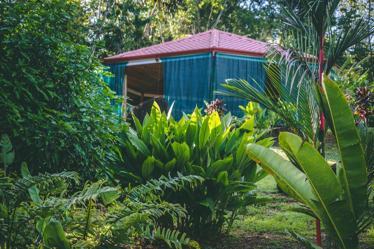 Manoas Bed & Breakfast Uvita Bagian luar foto