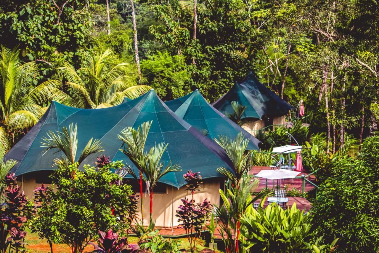 Manoas Bed & Breakfast Uvita Bagian luar foto